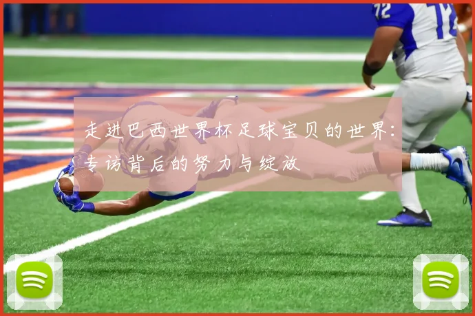 走进巴西世界杯足球宝贝的世界：专访背后的努力与绽放