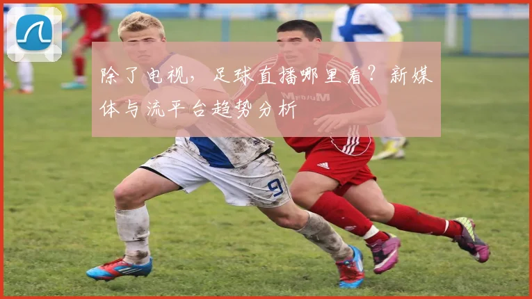 除了电视,足球直播哪里看?新媒体与流平台趋势分析