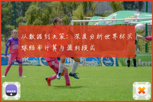 从数据到决策：深度分析世界杯买球赔率计算与盈利模式