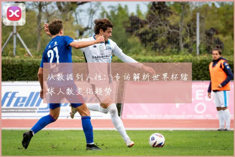 从数据到人性：专访解析世界杯赌球人数变化趋势