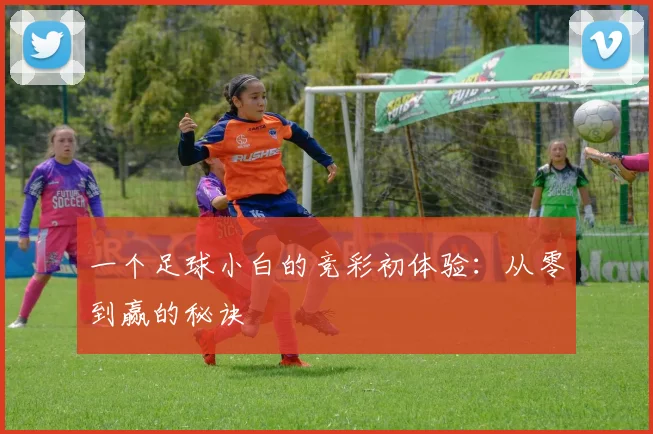 一个足球小白的竞彩初体验:从零到赢的秘诀